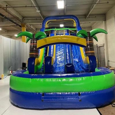 Indoor Double-layer Reinforced PVC Palm Tree Inflatable Double Slide Water Slide with Pool for Kids and Adults