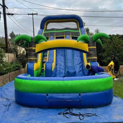 Indoor Double-layer Reinforced PVC Palm Tree Inflatable Double Slide Water Slide with Pool for Kids and Adults