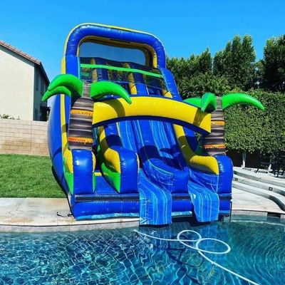 Indoor Double-layer Reinforced PVC Palm Tree Inflatable Double Slide Water Slide with Pool for Kids and Adults