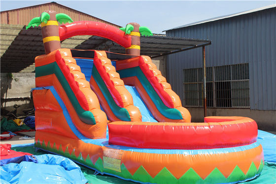 Indoor Double-layer Reinforced PVC Palm Tree Inflatable Double Slide Water Slide with Pool for Kids and Adults