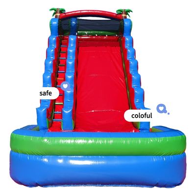 Family Fun Guaranteed Backyard Inflatable Water Slide with Water Pool and Wide Slide