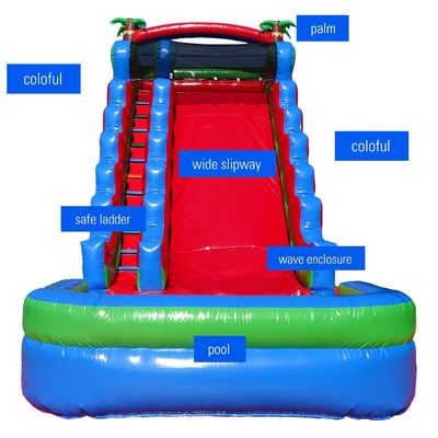 Family Fun Guaranteed Backyard Inflatable Water Slide with Water Pool and Wide Slide