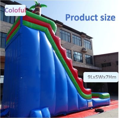 Family Fun Guaranteed Backyard Inflatable Water Slide with Water Pool and Wide Slide