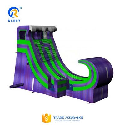 Family Fun Guaranteed Backyard Inflatable Water Slide with Water Pool and Wide Slide