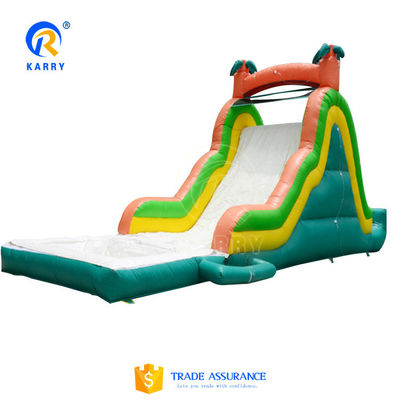 Water Pool Castle Style Inflatable Bouncy Fancy Long Water Slide for Kids and Adults
