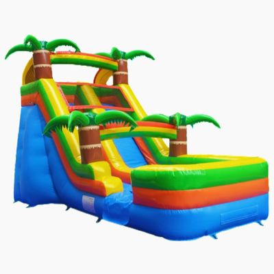 Commercial Rental Inflatable Water Slide with Pool and Blower 5-10 Passengers Allowed