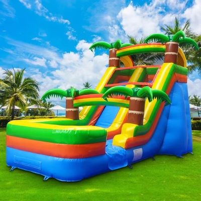 Commercial Rental Inflatable Water Slide with Pool and Blower 5-10 Passengers Allowed