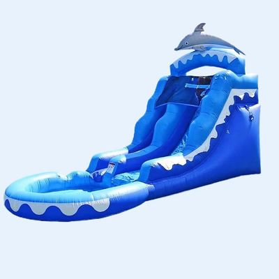 Gray Little Whale Inflatable Water Slide with Blue Ocean Water Pool and Blower Included