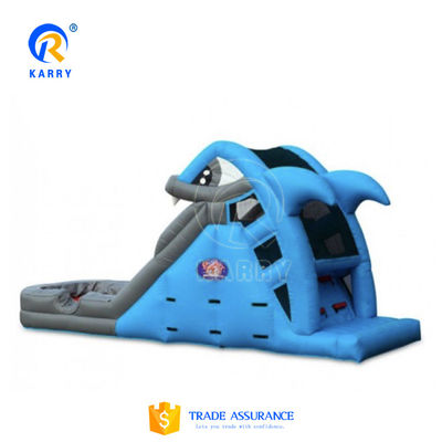 Indoor Commercial Rental Inflatable Water Slide with Pool in Summer Pure Color Fun