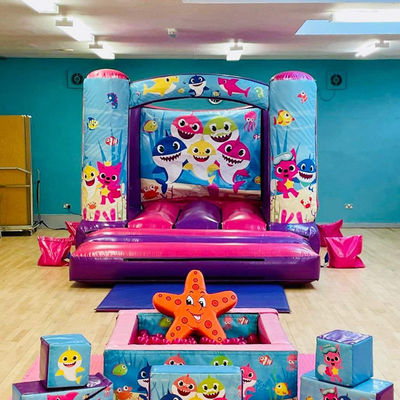 14 Years up Customized Mini Inflatable Trampoline Castle with Slide Custom Color