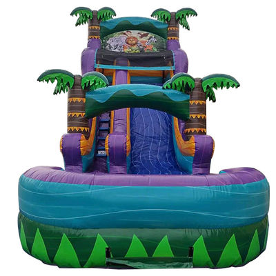 Inflatable Rainforest Castle with Slide and Pool Slide Water Inflatable Castle Combo