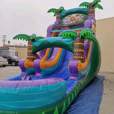 Inflatable Rainforest Castle with Slide and Pool Slide Water Inflatable Castle Combo