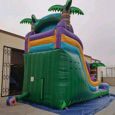 Inflatable Rainforest Castle with Slide and Pool Slide Water Inflatable Castle Combo