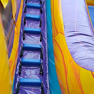 Inflatable Rainforest Castle with Slide and Pool Slide Water Inflatable Castle Combo