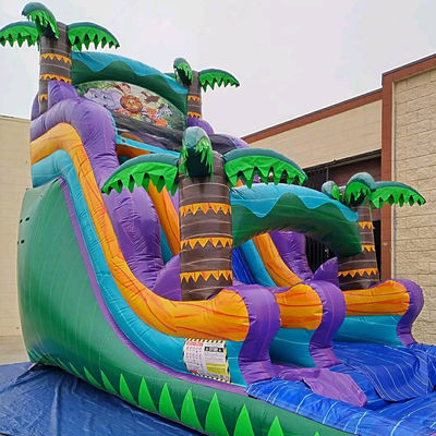 Inflatable Rainforest Castle with Slide and Pool Slide Water Inflatable Castle Combo