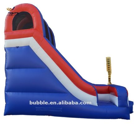 Jumping Waterslide Inflatable for Party Small Commercial Dry Slide Combo Bouncy Castle