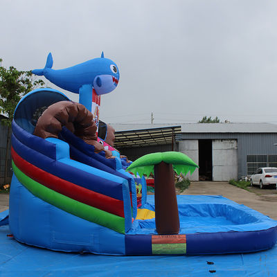 Customized Color Popular Small Shark Inflatable Water Slide with Pool
