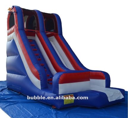 Jumping Waterslide Inflatable for Party Small Commercial Dry Slide Combo Bouncy Castle