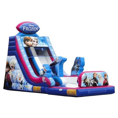 Customized Color Popular Small Shark Inflatable Water Slide with Pool