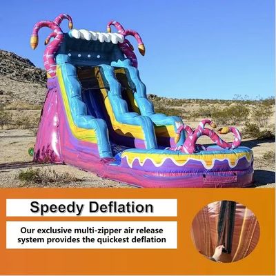 Commercial Grade Water Slide Inflatable with Splash Pool Customized Color and Size