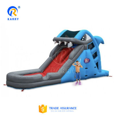 Custom PVC Air Water Slide for Kid and Adult Fun in Large Commercial Inflatable Park