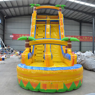 Indoor and Outdoor Fun Colorful Palm Tree Inflatable Water Slides for Kids Ages 8-13