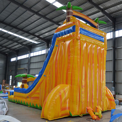 Indoor and Outdoor Fun Colorful Palm Tree Inflatable Water Slides for Kids Ages 8-13