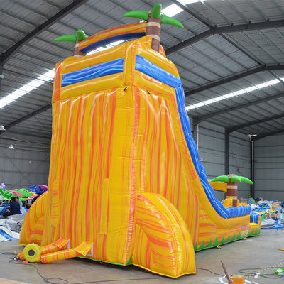 Indoor and Outdoor Fun Colorful Palm Tree Inflatable Water Slides for Kids Ages 8-13