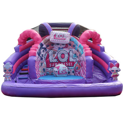 Commercial Inflatable Water Slide for Kid Adult Customized Color and 5-10 Passengers