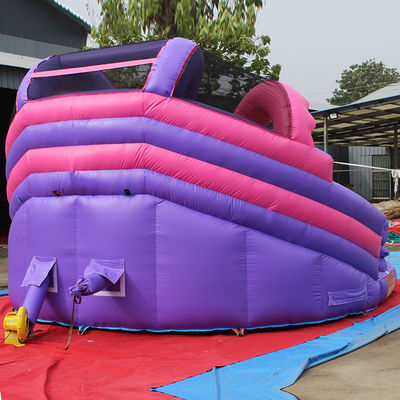 Commercial Inflatable Water Slide for Kid Adult Customized Color and 5-10 Passengers