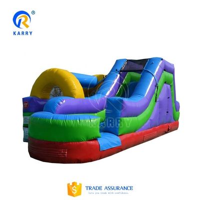 Customized Inflatable Water Slide With Pool For Kids And Adults Rock Climbing Game