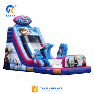 Customized Color Park Inflatable Water Slide Playful and Imaginative Fun Guaranteed