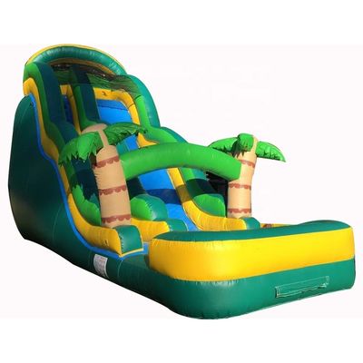 Glue Included Large Customized Inflatable Water Slide for Outdoor Water Park Equipment