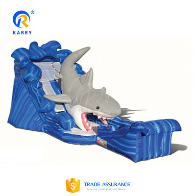 Large Adult Fun Inflatable Water Slide with Pool Customized Size and Digital Printing