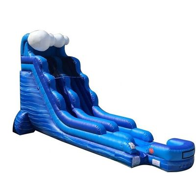 Large Adult Fun Inflatable Water Slide with Pool Customized Size and Digital Printing