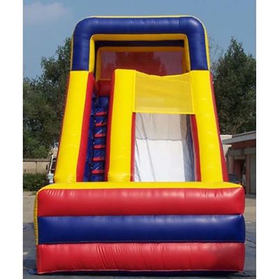 Large Outdoor Inflatable Jumping Slides with Customized Size and PVC Tarpaulin Material