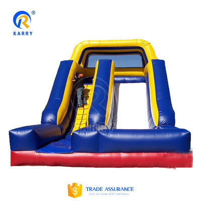 Large Inflatable Water Slides EN71/EN14960/CE Certified and Inflatable for Playground