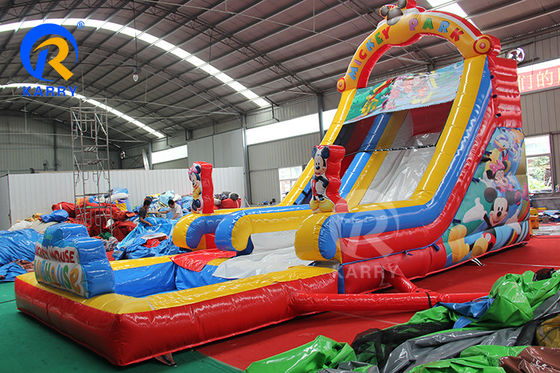 CH PVC Materials Inflatable Water Slide Bouncy House Slide Max Capacity 100-500kg Park