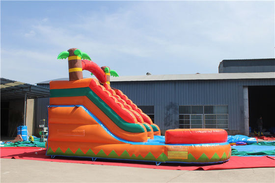 Commercial Party Rental Inflatable Water Slide with Pool