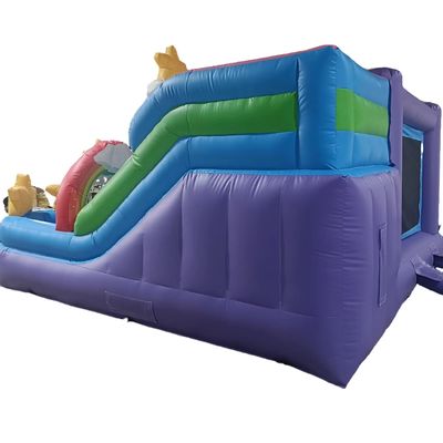 8-13 Years Age Range Inflatable Bounce House with Slide and Rainbow Horse Design