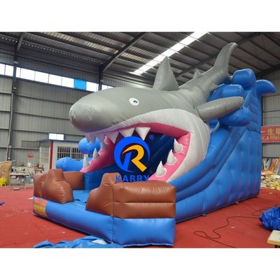 Customized Color Wet/Dry Inflatable Building with Slide and Blower Unisex Outdoor Fun