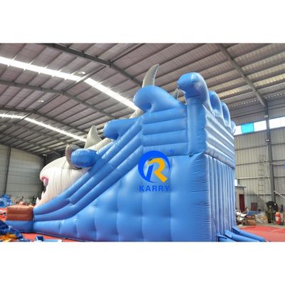 Customized Color Wet/Dry Inflatable Building with Slide and Blower Unisex Outdoor Fun