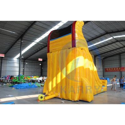 Commercial Grade Fancy Inflatable Water Slide with Digital Printing 18ft Square Size