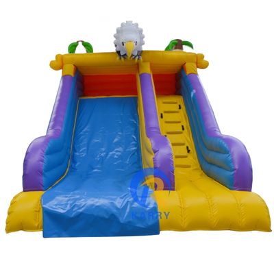 Max Capacity 100-500kg Mini Little Angry Eagle Inflatable Water Slide for Summer Fun