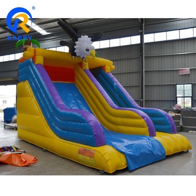 Max Capacity 100-500kg Mini Little Angry Eagle Inflatable Water Slide for Summer Fun