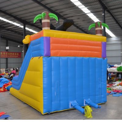 Max Capacity 100-500kg Mini Little Angry Eagle Inflatable Water Slide for Summer Fun