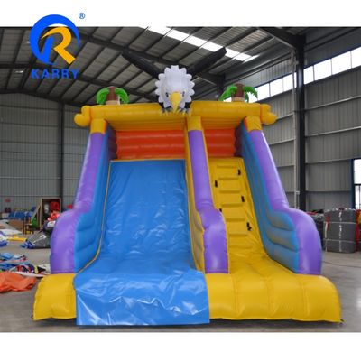 Customized Size Outdoor Entertainment Angry Crow Inflatable Water Slides for Kids Play