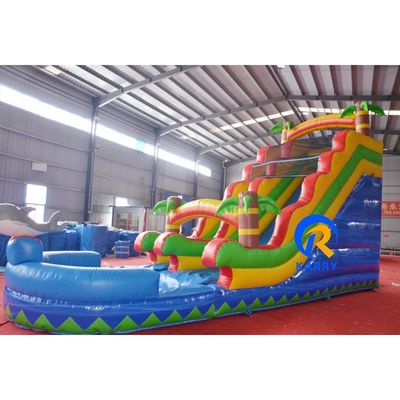 Commercial Children Playground Air Filled Outdoor Dry Indoor Dolphin Inflatable Slides
