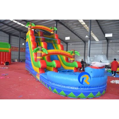 Commercial Children Playground Air Filled Outdoor Dry Indoor Dolphin Inflatable Slides