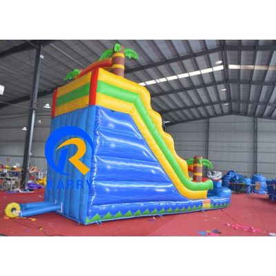Commercial Children Playground Air Filled Outdoor Dry Indoor Dolphin Inflatable Slides